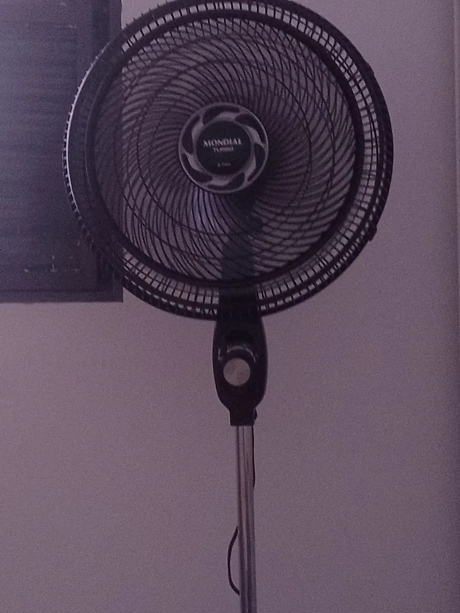 Foto de avaliação 3